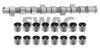 SWAG 40 91 8810 Camshaft Kit